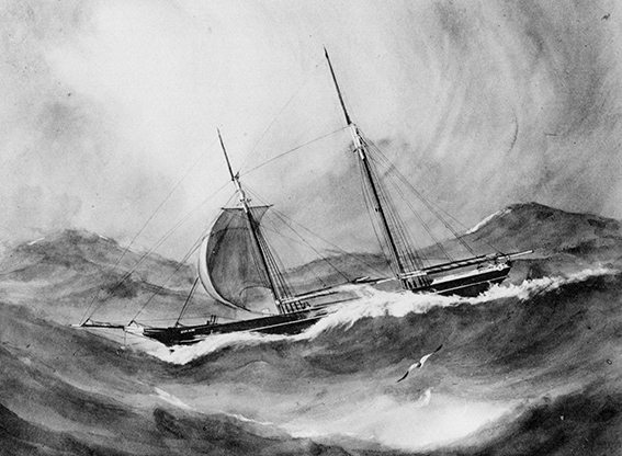 STAR	(1876-1880)